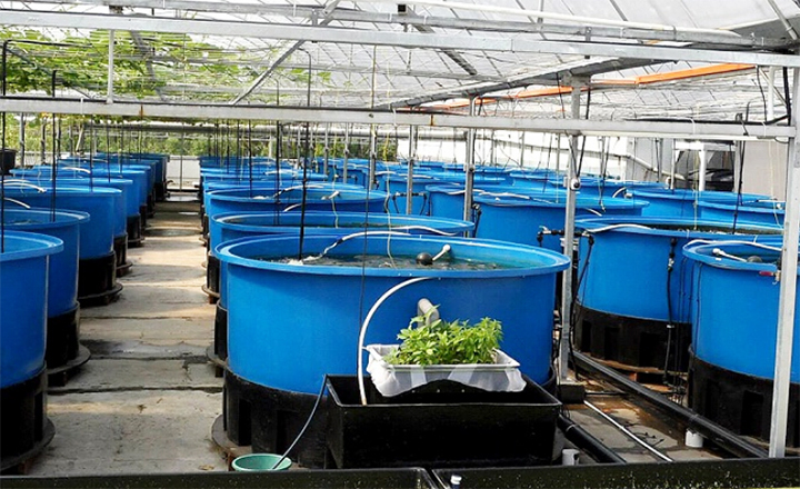 益樂塑業(yè)水產養(yǎng)殖方箱的特點